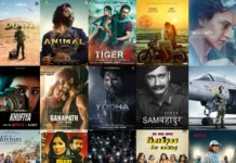 The Top 10 Superhit Bollywood Movies in the Year 2023