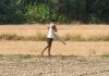 राजस्व विभाग द्वारा लगाए गए सीमांकन पत्थर को उखाड़कर फेंकने का आरोप, कार्रवाई की मांग